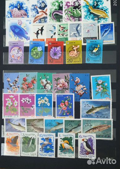 Альбом с марками СССР