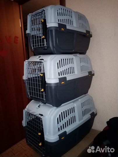 Переноска Скудо 1; 2; 3 ; Продажа ; Аренда