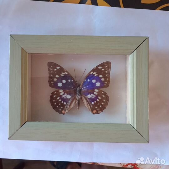 Картина,дсп,масло,последняя хороший подарок