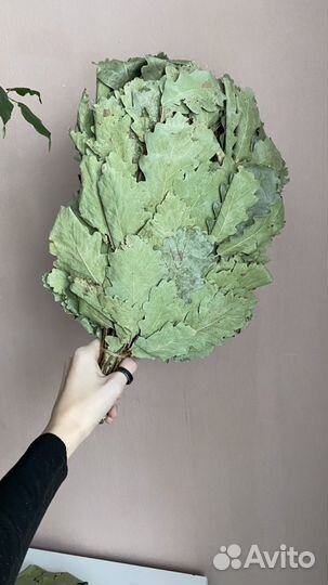 Веники дубовые