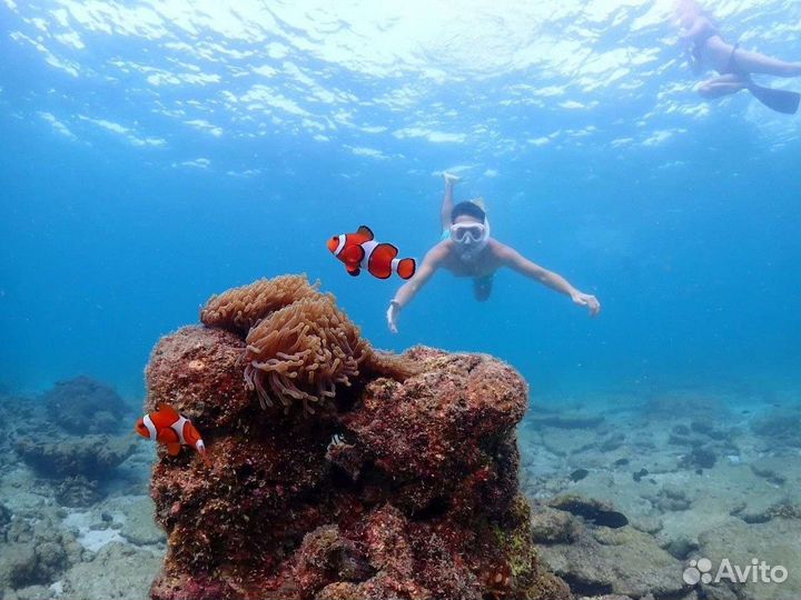 Подводная Одиссей, Паттайя, Таиланд