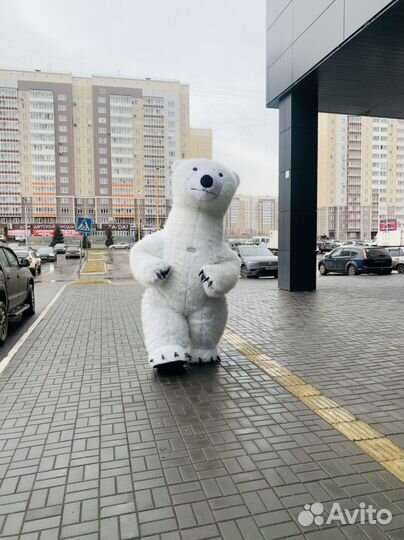 Белый мишка поздравление