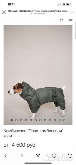 Дождевик для собак hunting pony