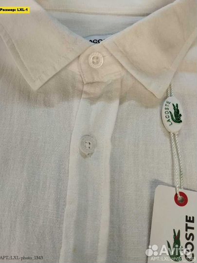 Рубашки Lacoste