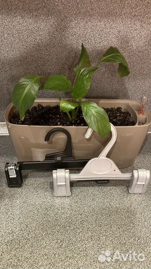 Плечики детские mothecare