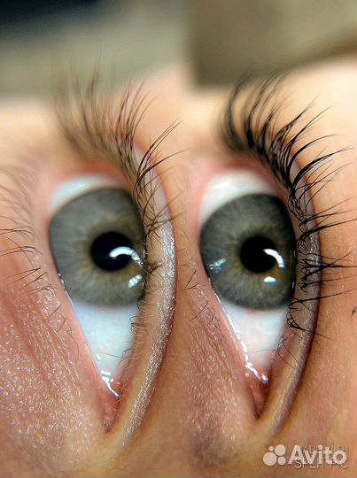 Оформление и окрашивание бровей