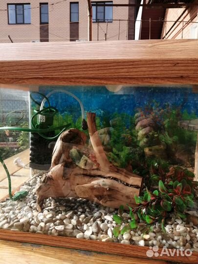 Аквариумы