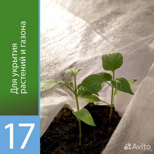 Теплица в ассортименте