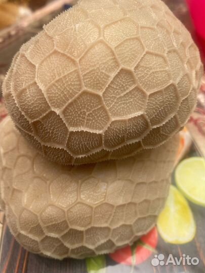 Мясо для собак