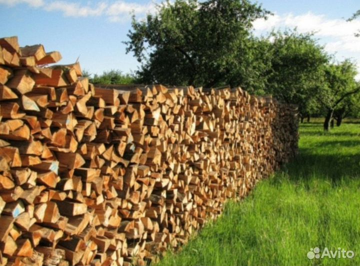 Дрова березовые