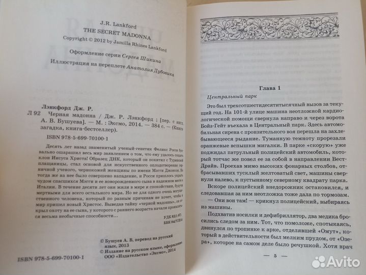 Лэнкфорд Дж. Р. Черная мадонна