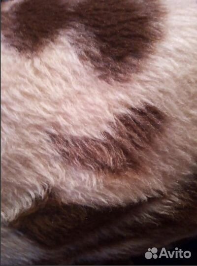 Плед двусторонний со львом