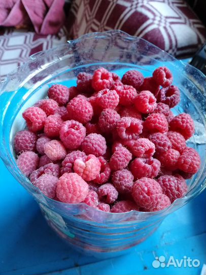 Малина 4 литра 2000р