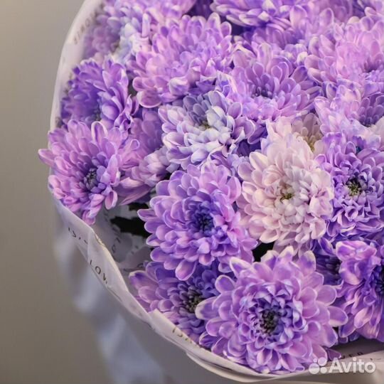 Сиреневый каскад L