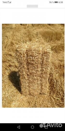 Солома в тюках