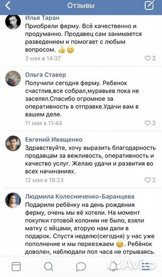 Муравьиная ферма (Формикарий) Стандарт