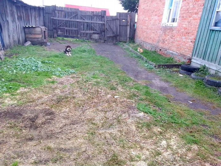 Дом 54 м² на участке 17 сот.