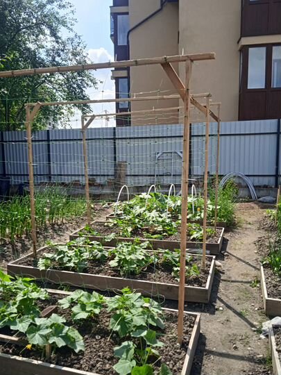 Участок 3,4 сот. (СНТ, ДНП)