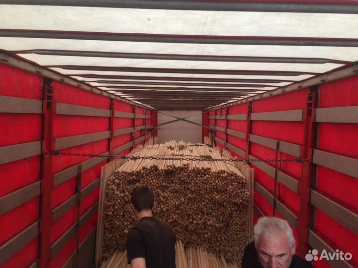 Черенки из березы / Крупный опт / Рязань