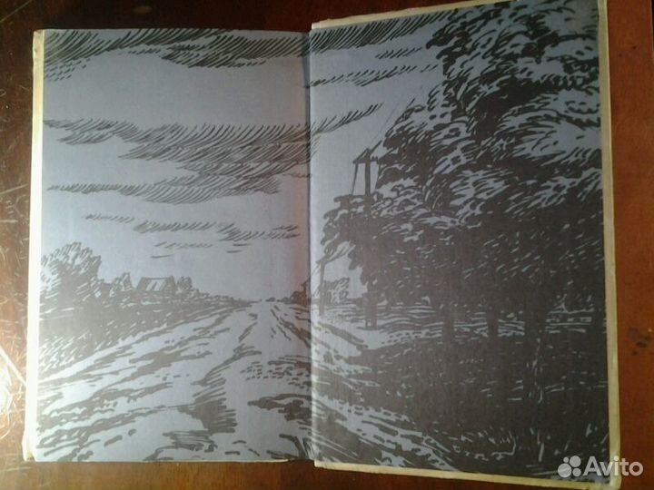 Книга Александр Акулинин.