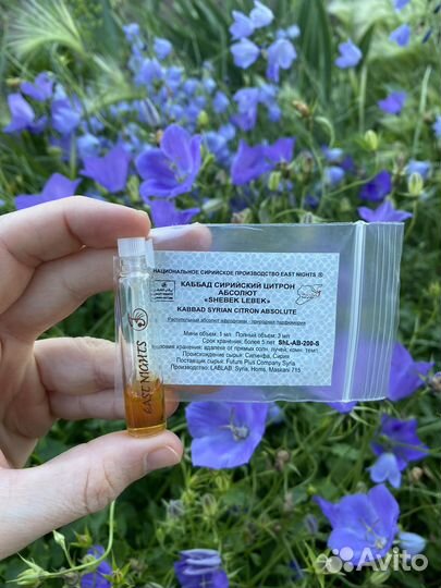 Каббад сирийский цитрон абсолют East Nights