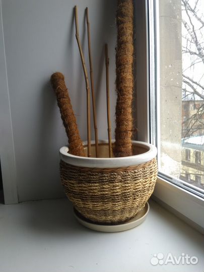 Традесканция / плетёный горшок