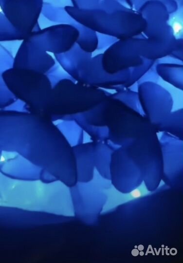 Букет из бабочек