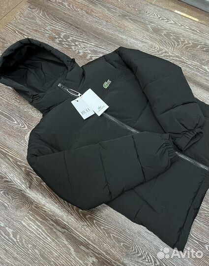 Куртка мужская Lacoste зимняя новая муж
