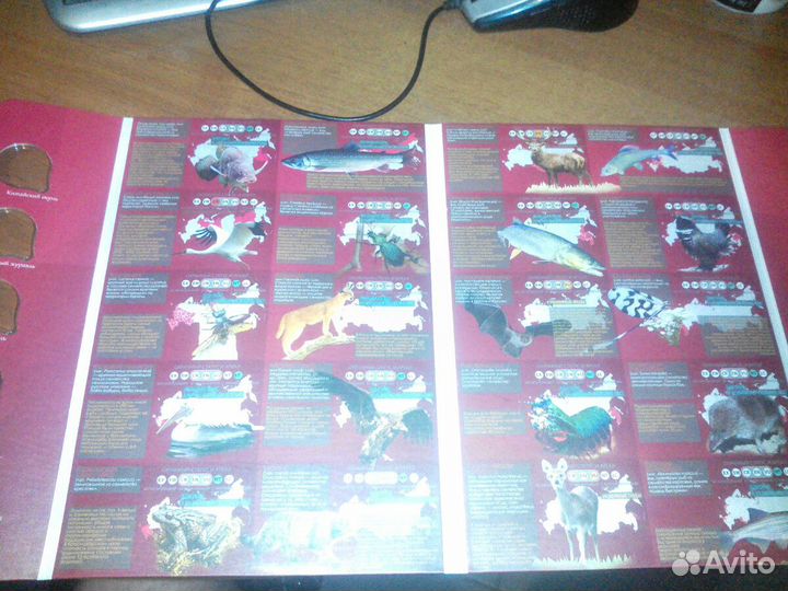 Красная книга СССР