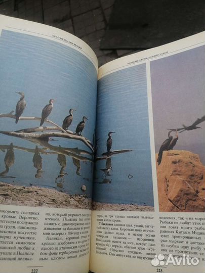 Африка - рай для животных книга энциклопедия