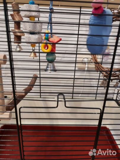 Клетка для попугая