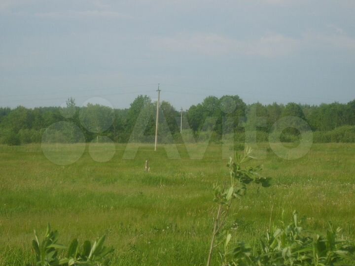 Участок 15 сот. (СНТ, ДНП)