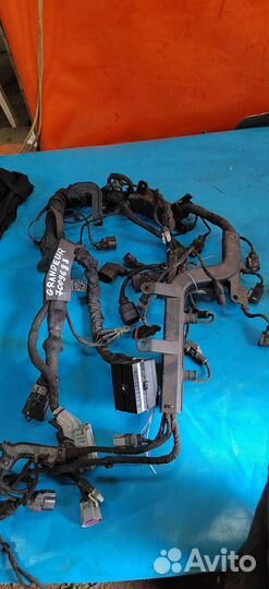 Проводка (коса) двигателя Hyundai grandeur 4 (200