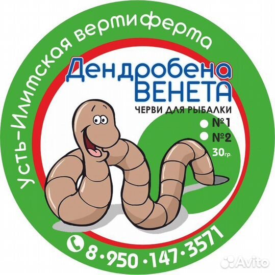 Черви Дендробена Венета