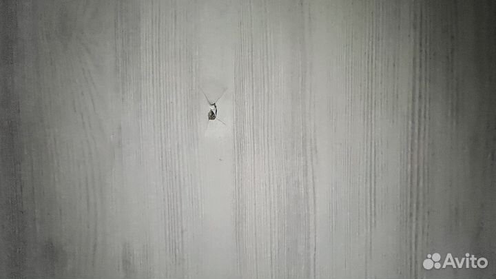 Детский письменный стол