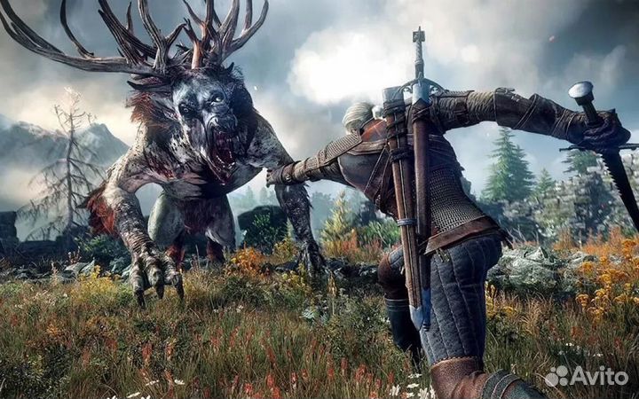 The Witcher 3 Wild Hunt+DLC Steam