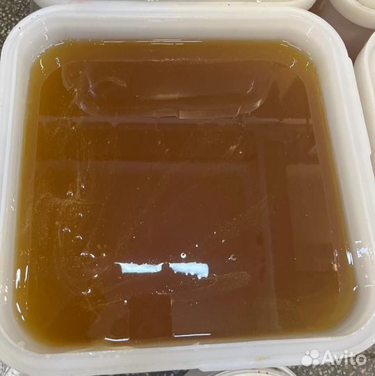 Мёд свежий оптом. Липа, качка 2023 г