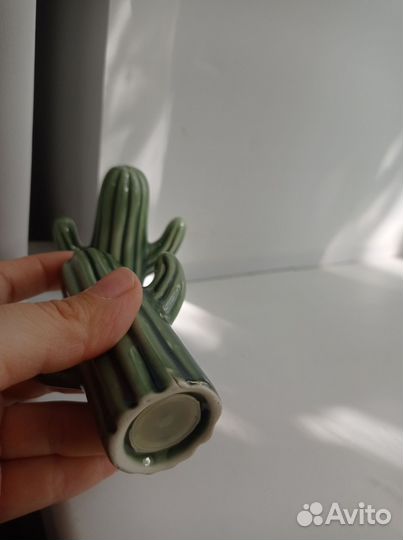 Набор редких кактусов HM Home