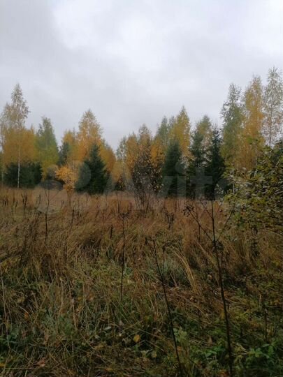 Участок 5,3 сот. (ИЖС)