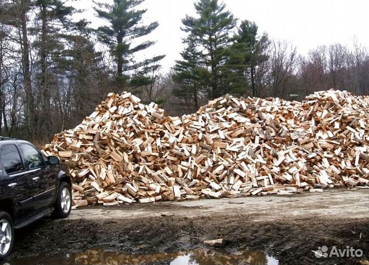 Дрова с Зеленогорска