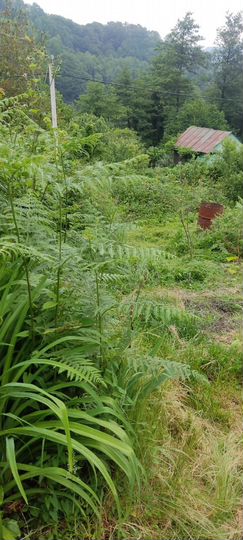 Участок 5 сот. (СНТ, ДНП)