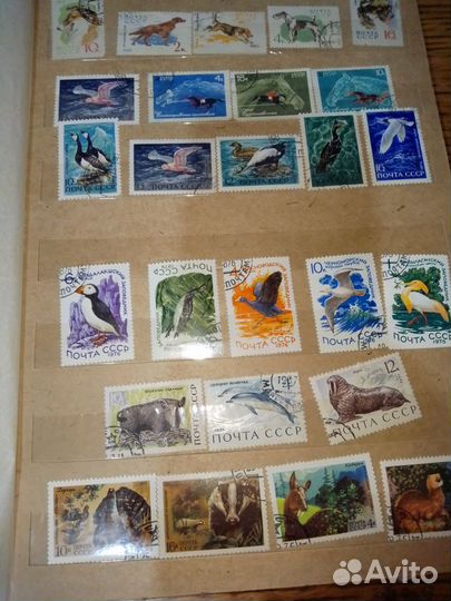 Почтовые марки