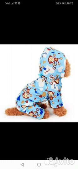 Одежда для собак мелких пород