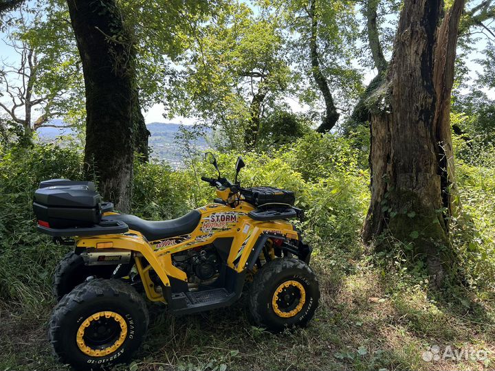 Квадроцикл promax storm 300сс