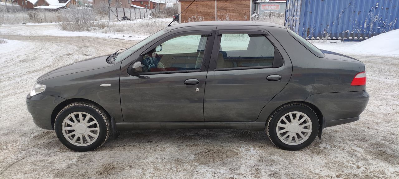 FIAT Albea: фото владельца