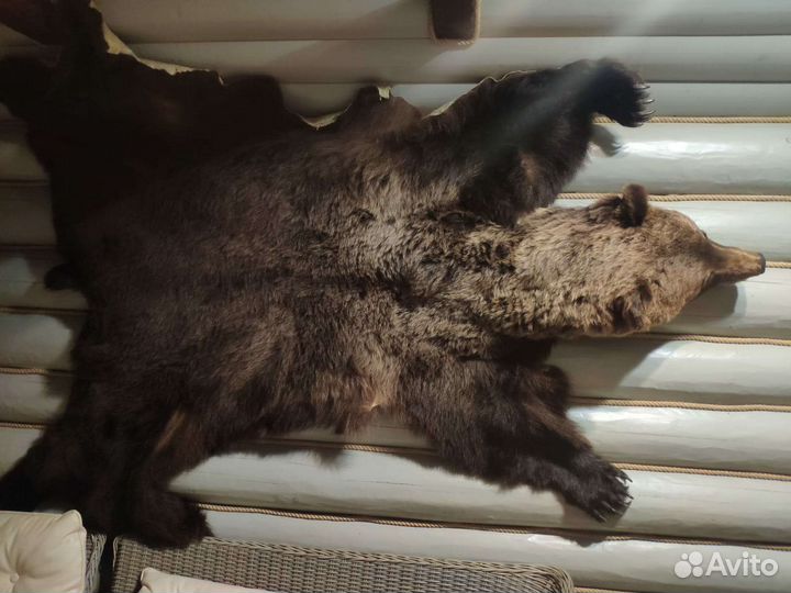 Шкура медведя имитация