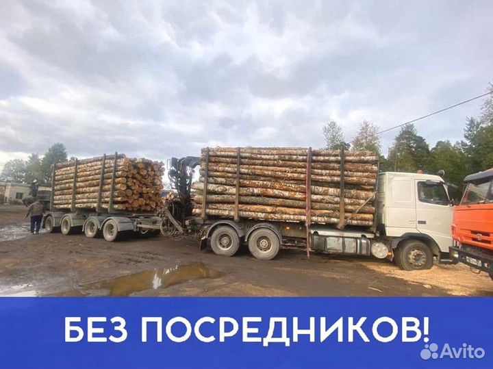 Дрова Качественные