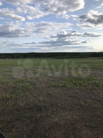Участок 5 га (СНТ, ДНП)