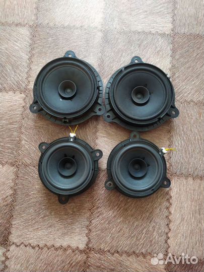 Динамики на весту