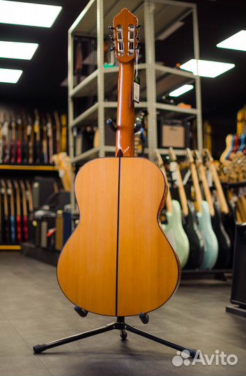 Alhambra с футляром 8.224 Flamenco Concert 10 Fc